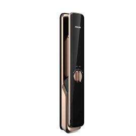 Philips Easy Key 9300(+шлюз Wi-Fi) Copper